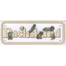 Dachshund - wire hair